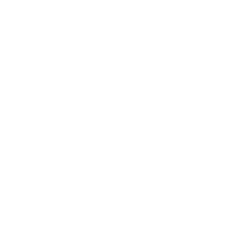 Logo Selma Promotion - Client Nexeo